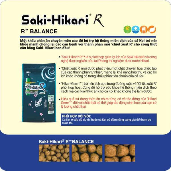 Saki-Hikari R Balance
