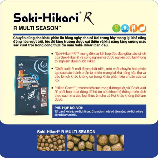 Saki-Hikari R Multi Season