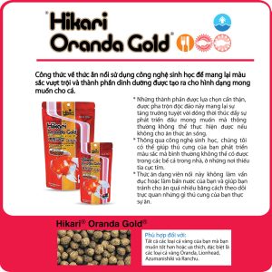 Hikari Oranda Gold - Thức Ăn Cá Koi Hikari