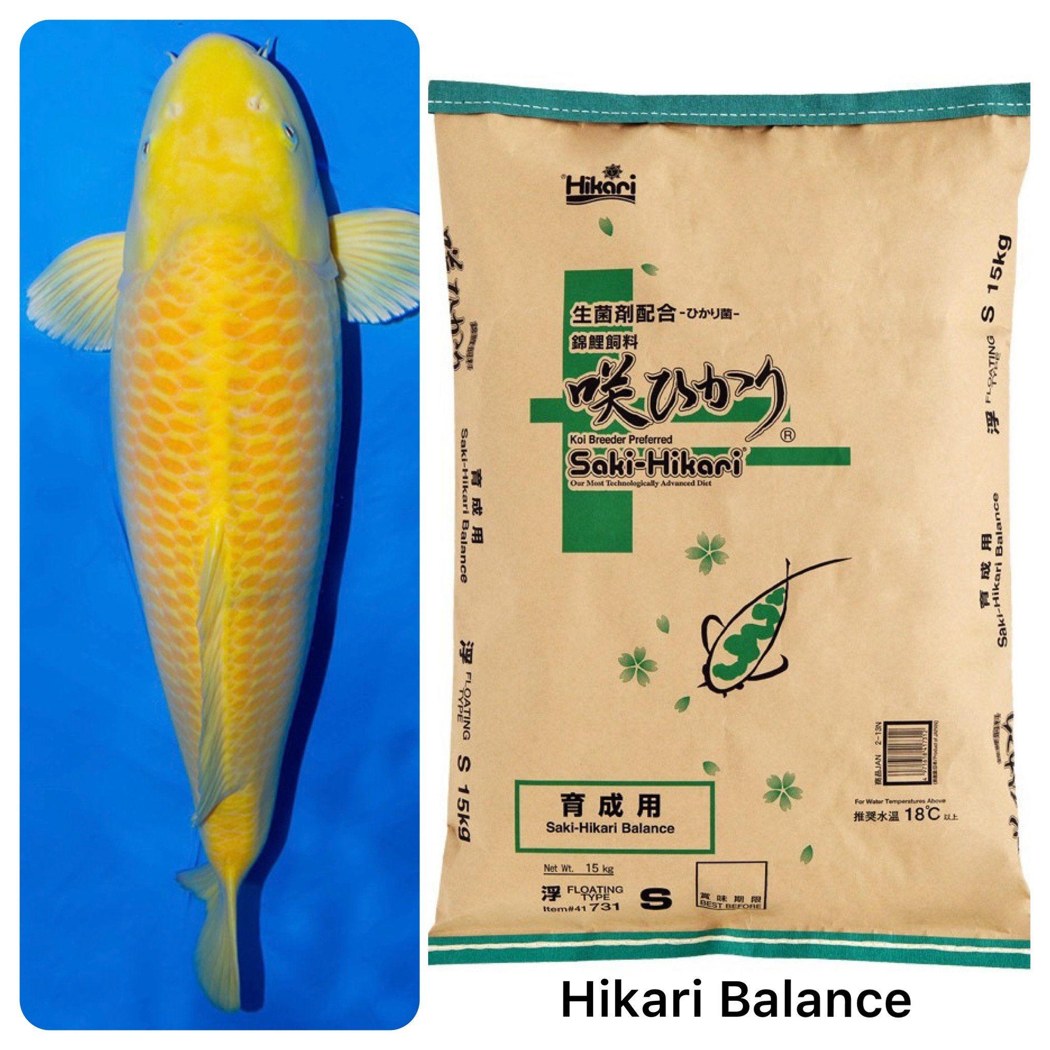 Hướng dẫn sử dụng Hikari Balance hiệu quả