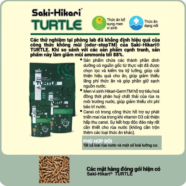 Saki-Hikari Turtle