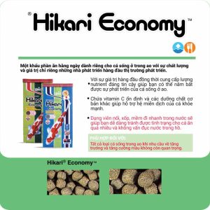 Thức ăn cá koi Hikari Economy