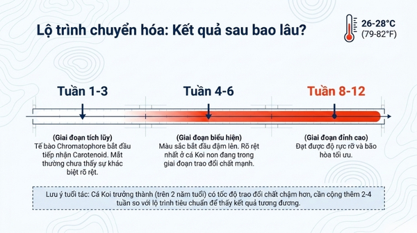 Thời gian ghi nhận kết quả thực tế từ người nuôi