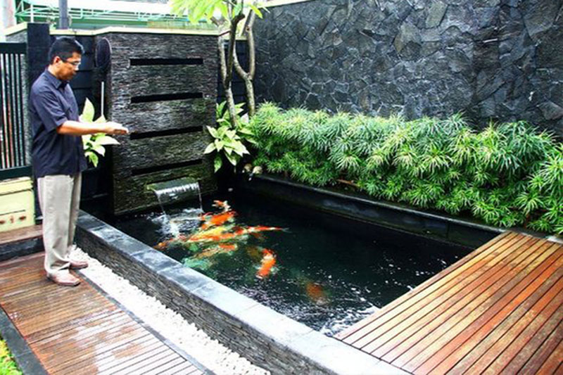 Hồ cá Koi vừa là lựa chọn phổ biến nhất và phù hợp với hầu hết các khu vườn