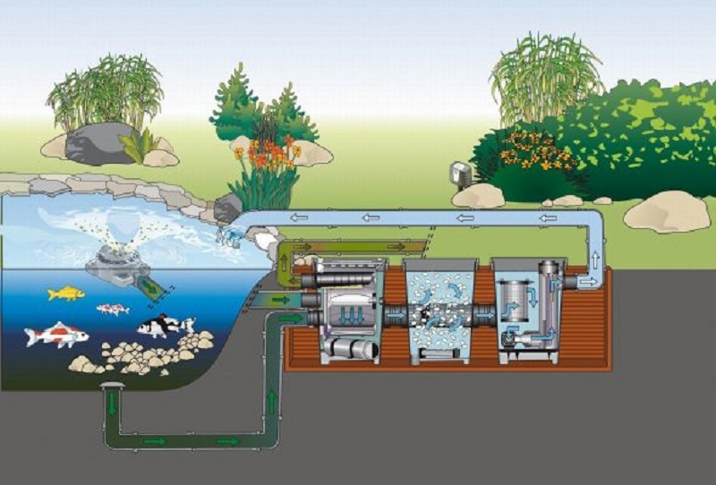 Hệ thống lọc nước là một phần quan trọng của hồ cá Koi