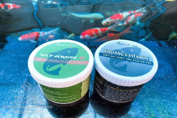 Bổ sung vitamin C cho cá