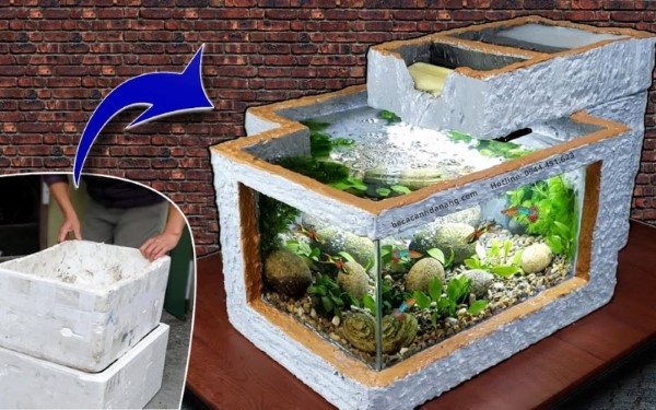 Hướng dẫn cách nuôi cá koi trong thùng xốp đơn giản