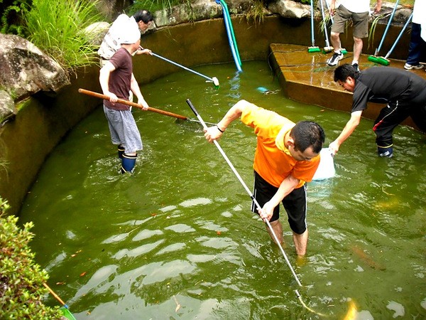 Thường xuyên làm sạch đáy hồ định kỳ