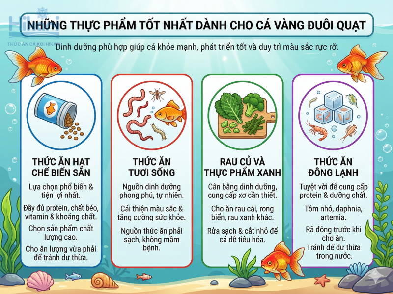 Chế độ ăn gồm thức ăn hạt, đồ sống và rau xanh giúp cá vàng đuôi quạt luôn khỏe mạnh, rực rỡ