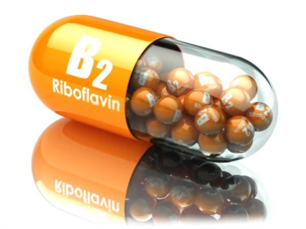 Vitamin B2 hay riboflavin cho rắn cảnh