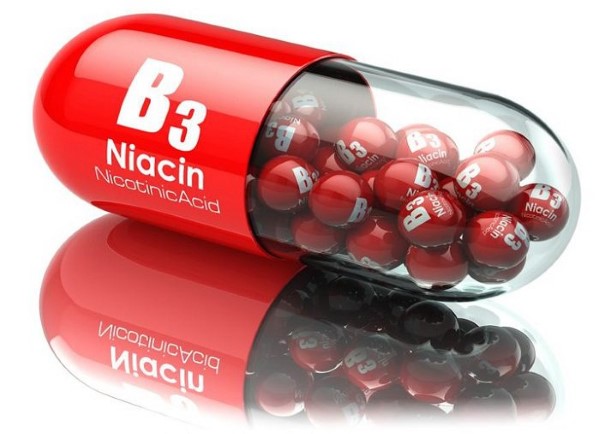 Vitamin B3 hay niacin hỗ trợ quá trình trao đổi chất của rắn