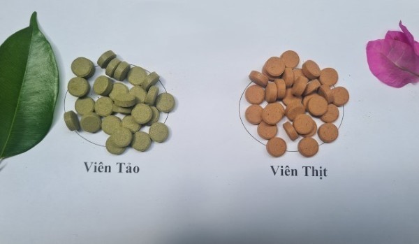 Kết Hợp Thức Ăn Viên Và Rau Xanh