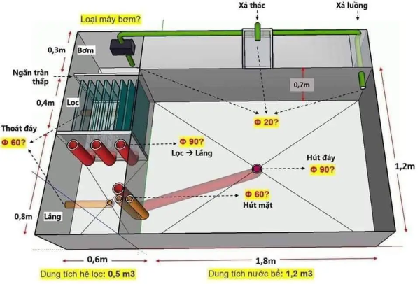 Thiết kế hồ nuôi là bước đầu tiên và vô cùng quan trọng