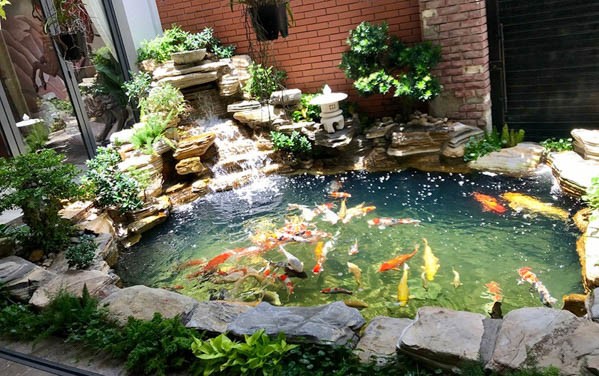 Cách thay nước hồ cá Koi đúng chuẩn hiệu quả 14 Kết hợp thay nước với bảo dưỡng hệ thống lọc