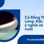 Trang chủ