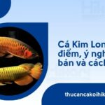 Trang chủ