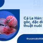 Trang chủ 25 Trang chủ