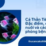Trang chủ