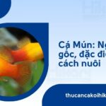 Trang chủ 25 Trang chủ