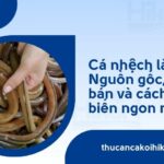 Trang chủ 25 Cá nhệch là gì? Nguồn gốc, giá bán và cách chế biến ngon nhất