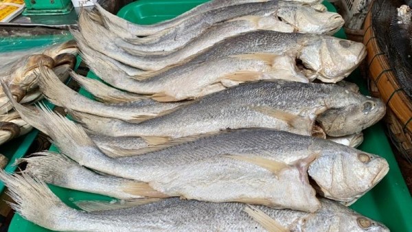 Cá Sửu: Đặc điểm, giá trị dinh dưỡng và cách chế biến 11 Cá sửu là một sản phẩm có giá trị kinh tế và đem lại lợi nhuận cao