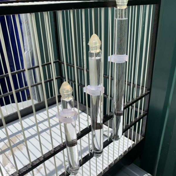 Chim hút mật ăn gì? Các loại thức ăn dành cho chim hút mật 17 Đảm bảo nước uống luôn sạch và mới cho chim hút mật