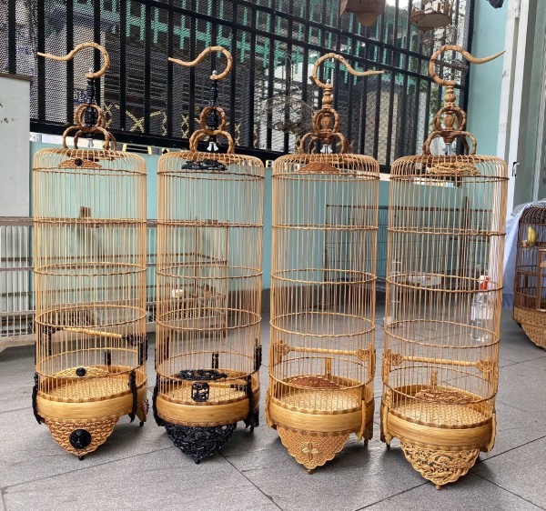 Chim ốc mít ăn gì? Thức ăn giúp chim khỏe mạnh và hót hay 18 Lồng nuôi và phụ kiện cho chim ốc mít