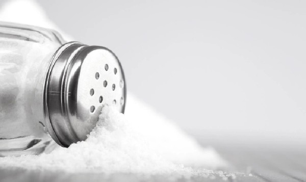 Chim khuyên ăn gì? Thức ăn giúp chim khuyên hót khỏe, lông mướt 28 Một số loại thức ăn không thể cho chim ăn