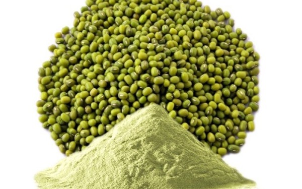 Chim khuyên ăn gì? Thức ăn giúp chim khuyên hót khỏe, lông mướt 22 Cám làm từ đậu xanh cho chim Vành khuyên