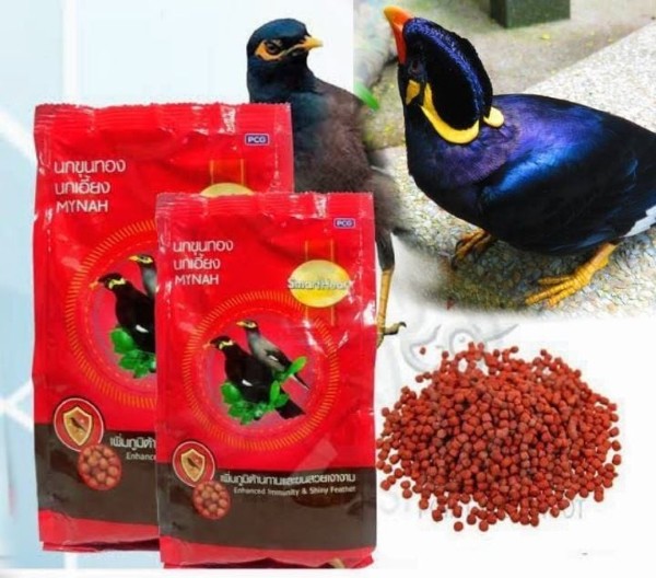 Chim sáo ăn gì? Thức ăn giúp chim nói hay và khỏe mạnh 15 Cám chuyên dụng là thành phần dinh dưỡng chính cho chim sáo