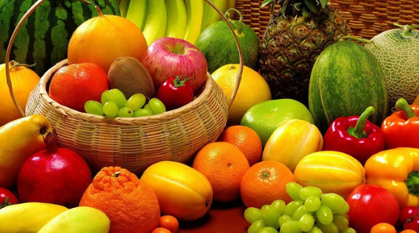 Chim sáo ăn gì? Thức ăn giúp chim nói hay và khỏe mạnh 16 Trái cây giúp bổ sung vitamin cần thiết cho sức khỏe chim sáo