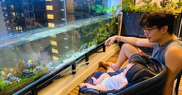 Hệ thống lọc nước đóng vai trò là trái tim của bể cá koi ban công