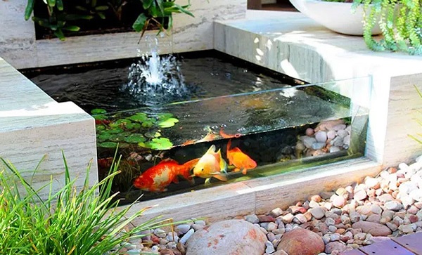 Thiết kế bể cá koi bằng kính chuẩn đẹp: Yếu tố kỹ thuật và thẩm mỹ 9 Kích thước tiêu chuẩn cho bể koi thường dựa trên quy mô của cá