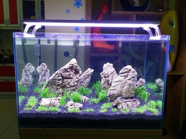 Thiết kế bể cá koi bằng kính chuẩn đẹp: Yếu tố kỹ thuật và thẩm mỹ 13 Giá thành của bể kính cao hơn nhiều so với các loại bể truyền thống làm từ xi măng