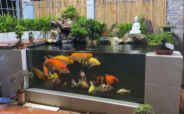 Thiết kế bể cá koi bằng kính chuẩn đẹp: Yếu tố kỹ thuật và thẩm mỹ 8 Lợi ích bể cá koi bằng kính