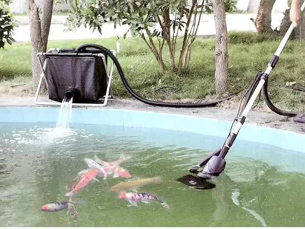 Cá Koi bị nổi mụn: Nguyên nhân, cách nhận biết và trị dứt điểm hiệu quả 14 Xử lý nước là bước quyết định nhất để tiêu diệt ký sinh trùng, vi khuẩn, nấm đã gây bệnh trên cá koi