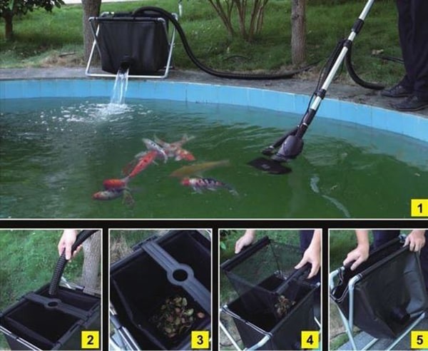 Cá Koi bị thối đuôi: Dấu hiệu, nguyên nhân gây bệnh và cách điều trị 10 Làm sạch hồ và kiểm tra chất lượng nước cá koi