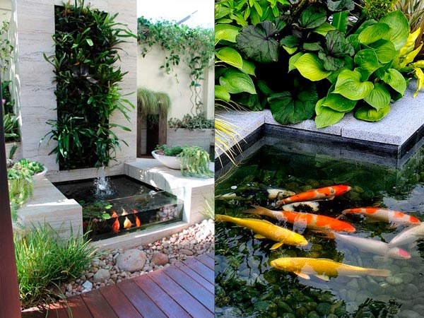 Hồ cá Koi mini trên sân thượng: Mẫu đẹp, chi phí và kinh nghiệm thiết kế 11 Chọn kích thước hồ và độ sâu phù hợp