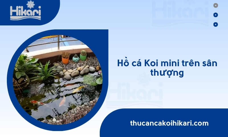 Hồ cá koi mini trên sân thượng