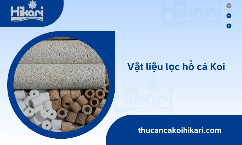 Trang chủ 26 Trang chủ