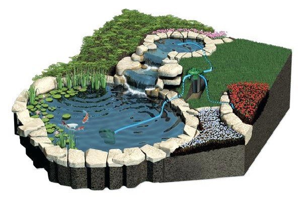 Bản vẽ thiết kế hồ cá Koi phối cảnh 3D