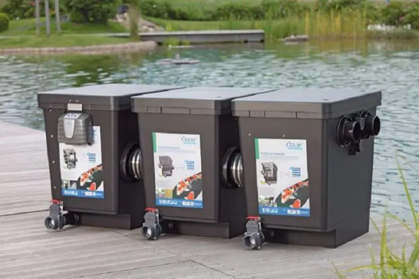 Hệ thống lọc nước hồ cá Koi ngoài trời dạng thùng