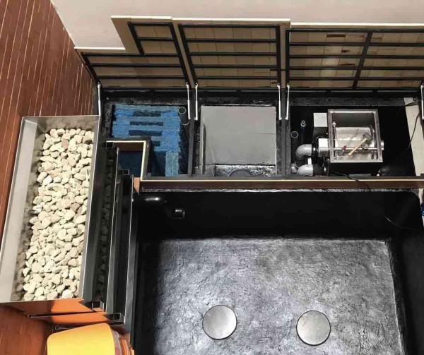 Các bước làm lọc hồ cá Koi đặt tiêu chuẩn kỹ thuật