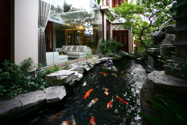 Mẫu hồ cá Koi sân vườn và biệt thự