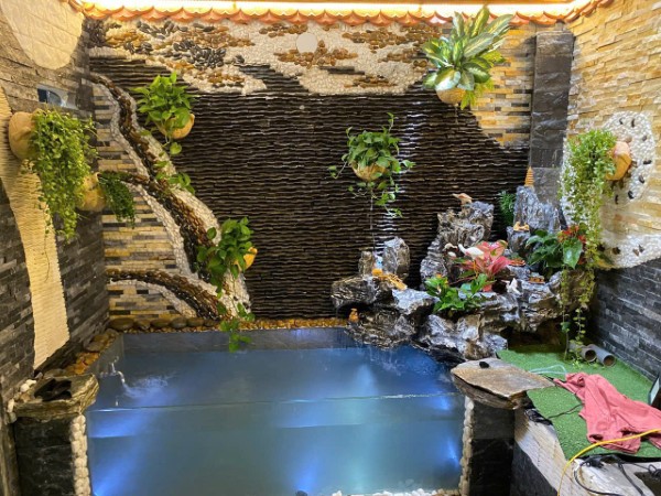 Trang trí và vận hành thử nước cho hồ