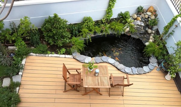 Mẫu hồ cá Koi mini