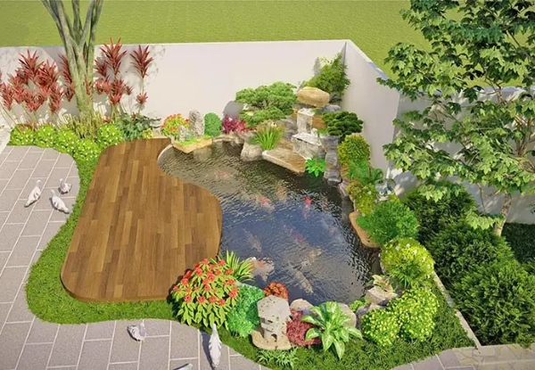 Hồ cá Koi mini góc sân góp phần cân bằng sinh thái nhỏ trong khu vườn Hồ cá Koi mini góc sân góp phần cân bằng sinh thái nhỏ trong khu vườn