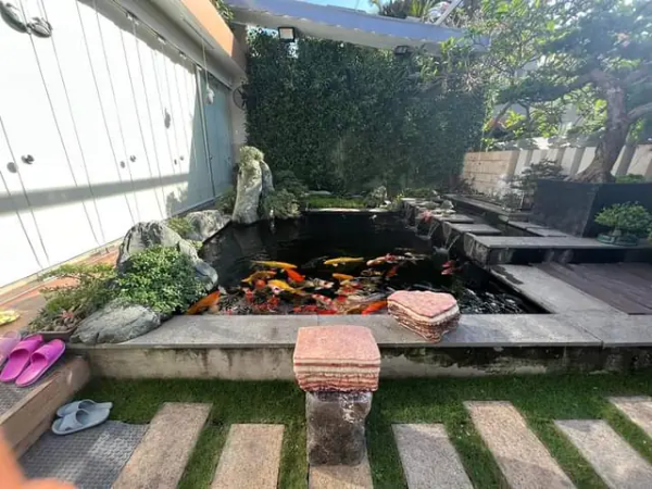 Cách làm hồ cá Koi mini góc sân đơn giản, ít tốn chi phí 3 Một số bí quyết giúp giảm thiểu chi phí xây hồ cá Koi mini góc sân