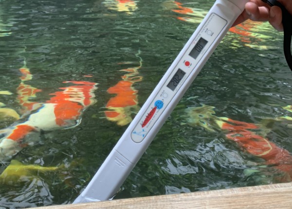 Kiểm soát nhiệt độ hồ ổn định là một trong các cách trị bệnh ngủ cá Koi hiệu quả