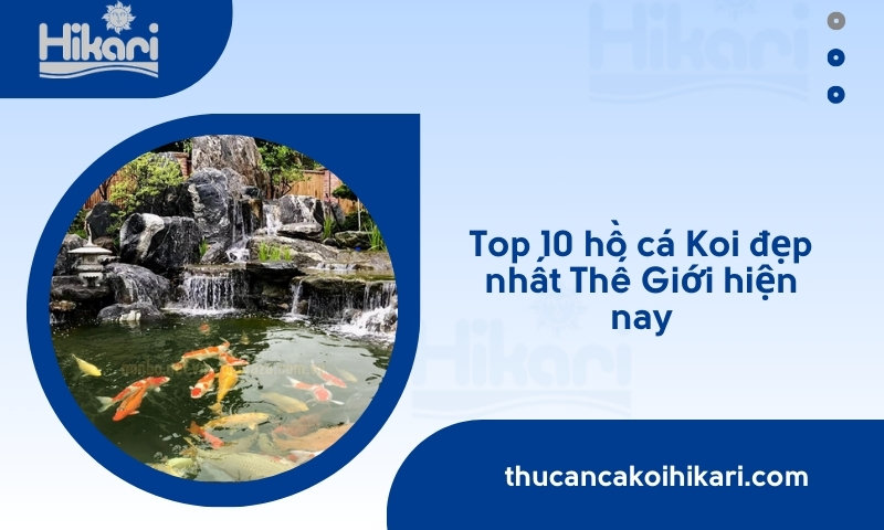 Trang chủ 25 Trang chủ